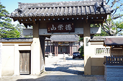 森山多吉郎のお墓